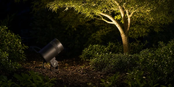 Spot Lights