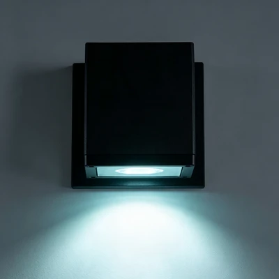 DHL1337-downward-wall-light-ip65-10w-aluminum-lit